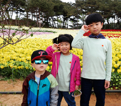 도레미트리오!