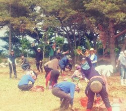 튤립 구근을 캐시는 참여자분들과 인사~!