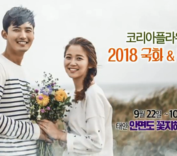 [국화&빅토리아] 2018 국화 & 빅토