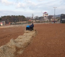 2020 태안 세계튤립축제 준비