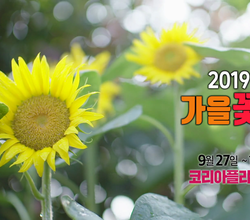 2019 태안 가을꽃축제 영상 공개! 
