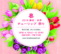 2019 泰安世界チュー リップお祭り ポスター  