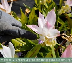'꽃미남' 아니죠. '꽃벌레' 로 새롭게 시작합니다.