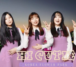 하이큐티 영상