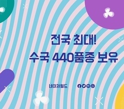 수국 절찬리 판매