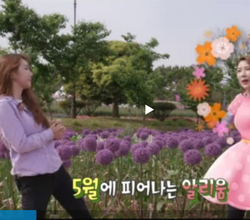 [방송]KBS TV 이웃 다정다감