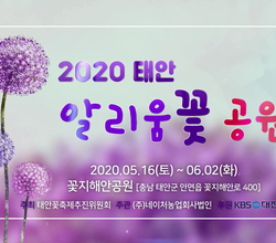 2020 태안 알리움꽃공원 영상
