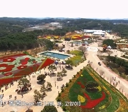 [영상]태안 세계튤립꽃박람회를 한 눈에 2012년 ~ 