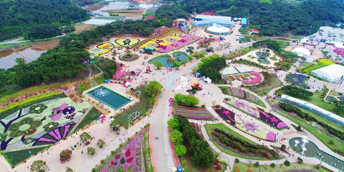 Korea Flower Park 空气