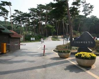 안면도 자연휴양림