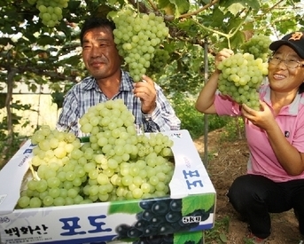 [ 체험농장 ] 백화산농원